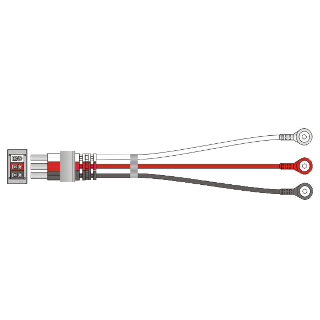 3 leadwire set